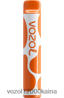 VOZOL Cigarete - VOZOL JOYGO 600 BT0B6379 kavos