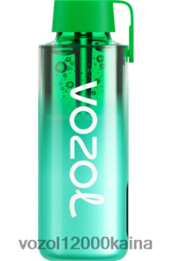 VOZOL Cigarete - VOZOL NEON 10 000 BT0B6229 Majamio mėtų