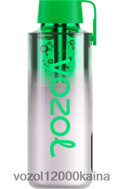 VOZOL Cigarete - VOZOL NEON 10 000 BT0B6234 vynuogių ledas