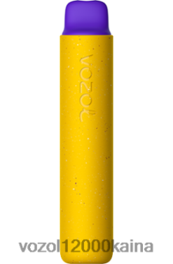 VOZOL Cigarete - VOZOL STAR 2000 m BT0B6159 mangų ledas