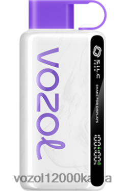 VOZOL Cigarete - VOZOL STAR 9000/12000 BT0B639 spanguolių mango greipfrutas