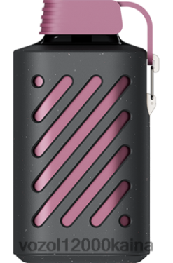 VOZOL Elektronin - VOZOL GEAR 10 000 BT0B6300 pasifloros aviečių mandarinas