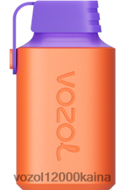 VOZOL Elektronin - VOZOL GEAR 600 BT0B6360 gervuogių ledų