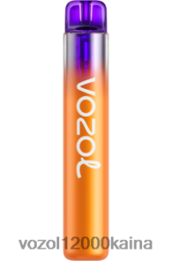 VOZOL Elektronin - VOZOL NEON 800 BT0B6275 citrinų pasifloros vaisius