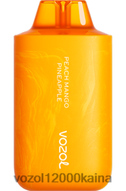 VOZOL Kaina - VOZOL STAR 6000/8000 v2 BT0B663 persikų mango ananasai