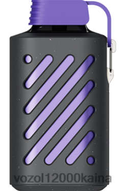 VOZOL Lietuva - VOZOL GEAR 10 000 BT0B6291 miško uogų audra