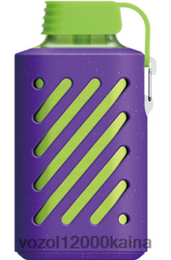 VOZOL Vape Kaina - VOZOL GEAR 10 000 BT0B6292 vynuogių ledas