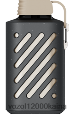 VOZOL Vape Kaina - VOZOL GEAR 10 000 BT0B6302 persikų mangų kokteilis