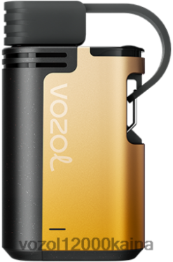 VOZOL Vape Kaina - VOZOL GEAR 4000c/6000 BT0B6327 mango pasifloros vaisius