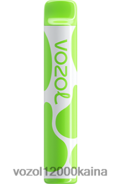 VOZOL Vape Kaina - VOZOL JOYGO 600 BT0B6382 kivi pasifloros gvajava