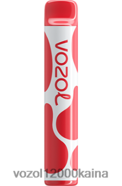 VOZOL Vape Kaina - VOZOL JOYGO 600 BT0B6392 braškių ledų