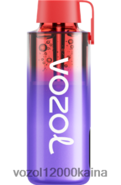 VOZOL Vape Kaina - VOZOL NEON 10 000 BT0B6242 gervuogių ledų
