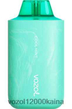 VOZOL Vape Kaina - VOZOL STAR 6000/8000 v2 BT0B657 vėsios mėtos
