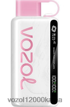 VOZOL Vape Kaina - VOZOL STAR 9000/12000 BT0B632 braškių ledų