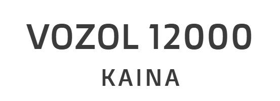 VOZOL 12000 Kaina